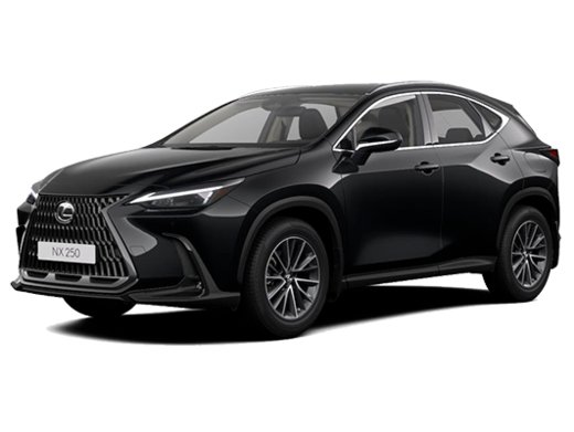 фото Lexus NX Новый